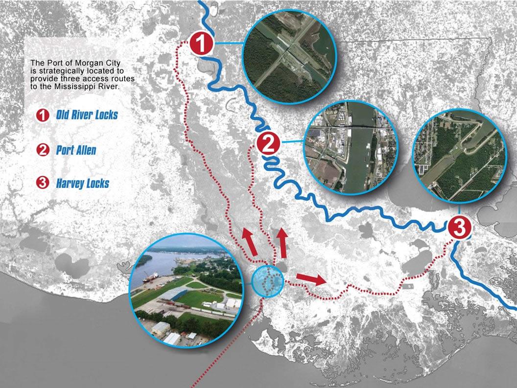 POMC Multi-Directional POMC Multi-Directional